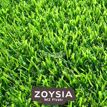 Zoysia Rulo Çim